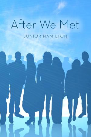 Cover of the book After We Met by Erin Quinn