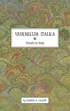 Book cover of Vademecum Italica