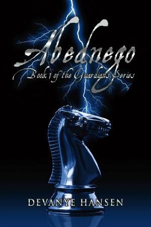 Cover of the book Abednego by Brett Scott Ermilio
