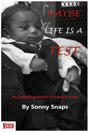 Cover of the book Maybe Life Is A Test by John C. Steele