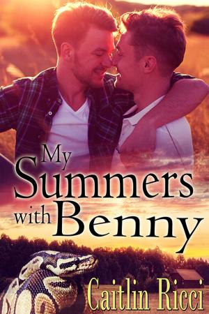 Cover of the book My Summers With Benny by A.J. Llewellyn, D.J. Manly