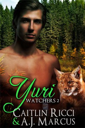 Cover of the book Yuri by Valerie J. Long