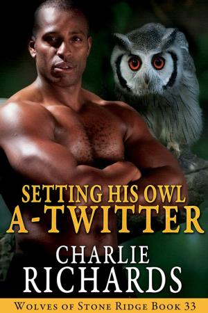 Cover of the book Setting His Owl A-Twitter by Charlie Richards