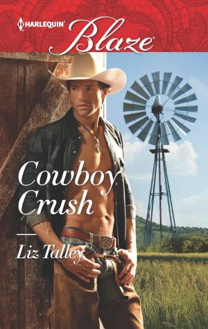 Cover of the book Cowboy Crush by Delores Fossen
