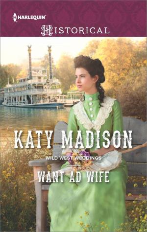 Cover of the book Want Ad Wife by Ingrid Weaver