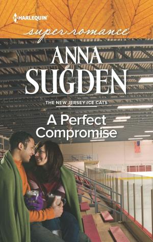 Cover of the book A Perfect Compromise by Jen Katemi