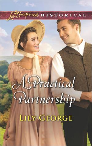Cover of the book A Practical Partnership by Donna Young