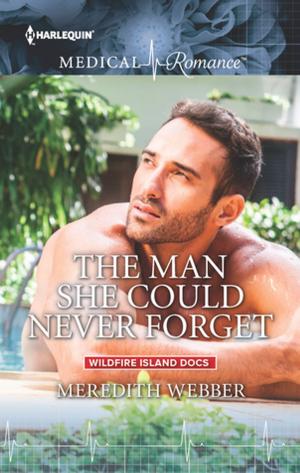 Book cover of The Man She Could Never Forget