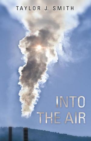 Cover of the book Into the Air by Claire Rye