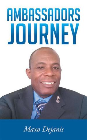 Cover of the book Ambassadors Journey by Laura Panks