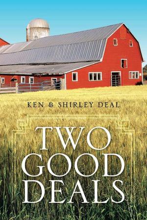Cover of the book Two Good Deals by Anna Manganaro, JoAnna Manganaro Juneau