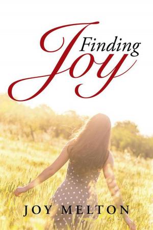Cover of the book Finding Joy by JJ Farmer