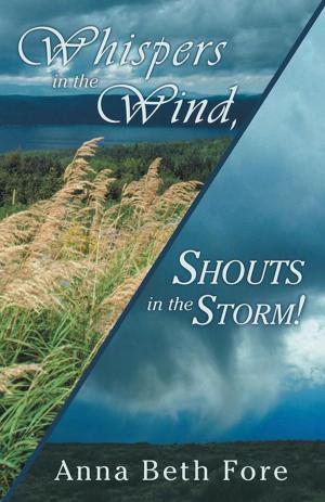 Cover of the book Whispers in the Wind, Shouts in the Storm! by D Malberg, Rabbi Hector, Evelyn Gomez
