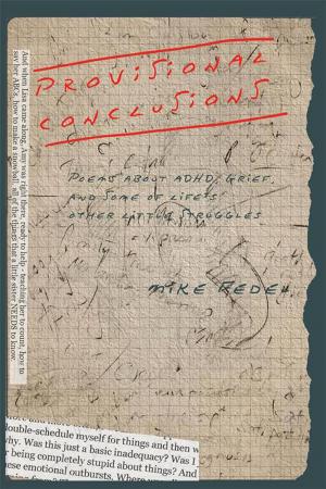Cover of the book Provisional Conclusions by Steven Granson