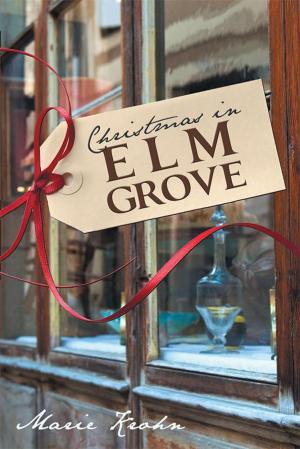 Cover of the book Christmas in Elm Grove by Sabrina Simon