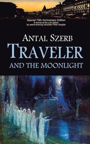 Cover of the book Traveler and the Moonlight by Norman Barasch