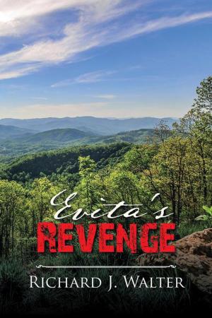 Cover of the book Evita's Revenge by A. W. Hopkins