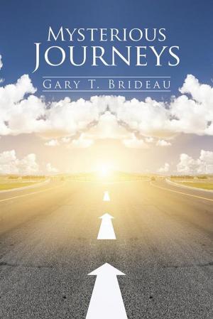 Cover of the book Mysterious Journeys by Jasmine Carrietté