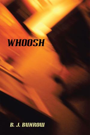 Cover of the book Whoosh by Dorcas Mladenka