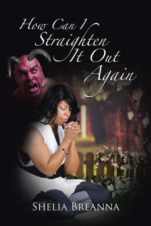 Cover of the book How Can I Straighten It out Again by Richard McOmber