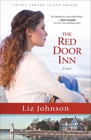 Book cover of The Red Door Inn (Prince Edward Island Dreams Book #1)