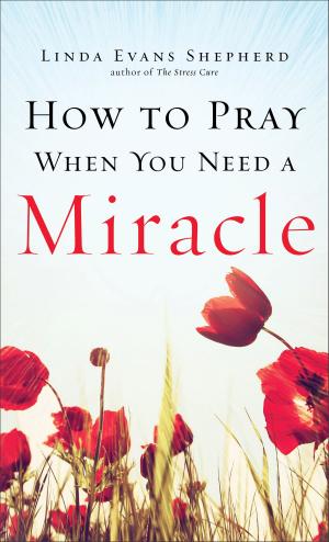 Cover of the book How to Pray When You Need a Miracle by Cindy Jacobs