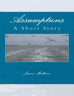 Cover of the book Assumptions: A Short Story by Lawrence Waymire