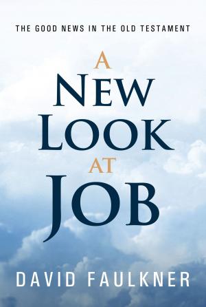 Book cover of New Look at Job