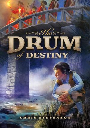 Cover of the book The Drum of Destiny by AC Wilder
