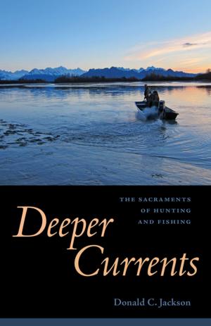Cover of the book Deeper Currents by Shane K. Bernard