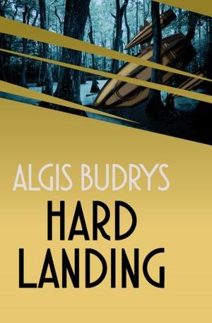 Cover of the book Hard Landing by Amanda Scott