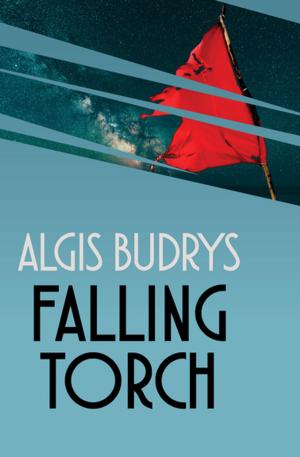 Cover of the book Falling Torch by Ruth Dickson