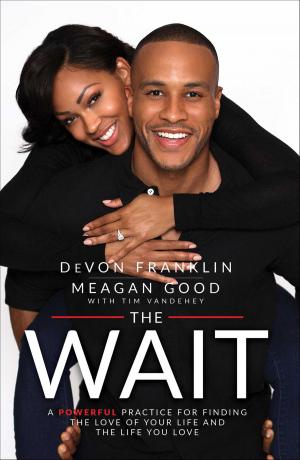 Cover of the book The Wait by SQuire Rushnell