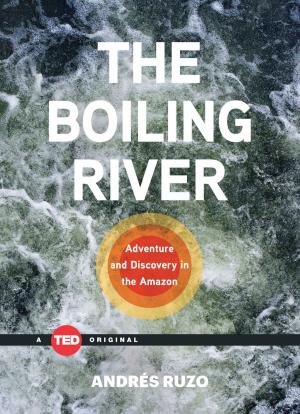 Cover of the book The Boiling River by Philip Freeman