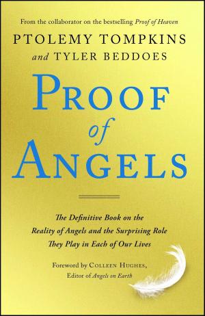 Cover of the book Proof of Angels by Tim Downs