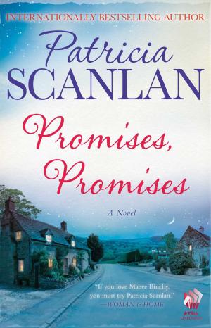 bigCover of the book Promises, Promises by 