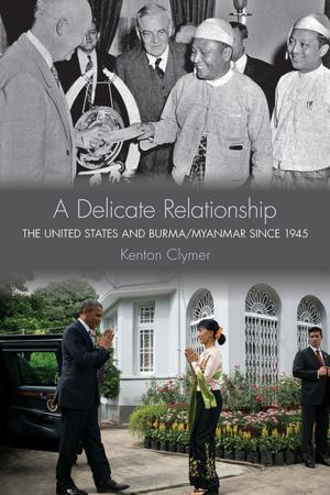 Cover of the book A Delicate Relationship by Michelle Armstrong-Partida