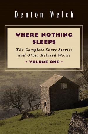 Cover of the book Where Nothing Sleeps Volume One by Howard Fast
