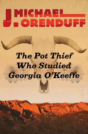 Book cover of The Pot Thief Who Studied Georgia O'Keeffe
