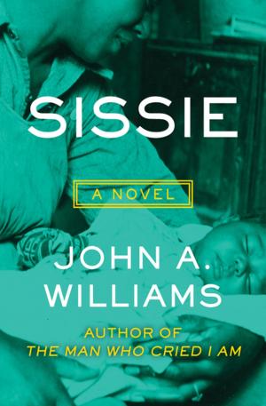 Cover of the book Sissie by Jennifer Johnston