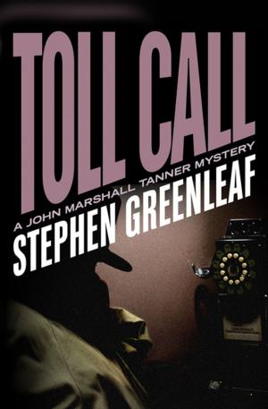 Cover of the book Toll Call by Brett Halliday