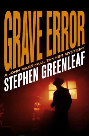 Cover of the book Grave Error by Brett Halliday