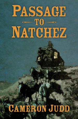 Cover of the book Passage to Natchez by Madison Smartt Bell