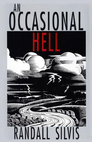 Book cover of An Occasional Hell