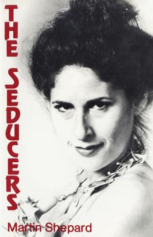 bigCover of the book The Seducers by 