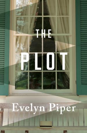 bigCover of the book The Plot by 