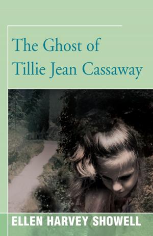 Cover of the book The Ghost of Tillie Jean Cassaway by Jana Harris