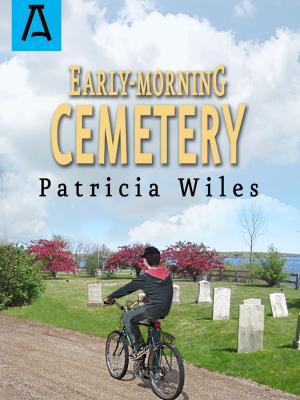 Book cover of Early-Morning Cemetery