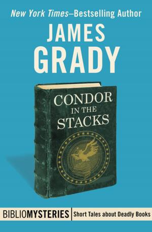 Cover of the book Condor in the Stacks by John Jakes
