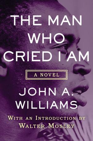 Book cover of The Man Who Cried I Am